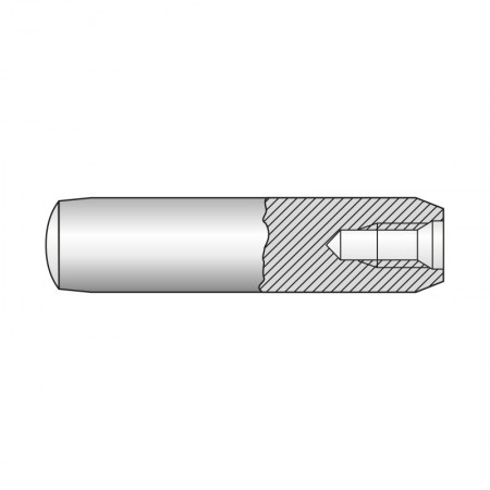Stift cilindric cu filet interior forma  D  DIN 7979, otel, Rocast