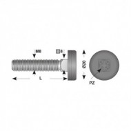 Surub de reglare cu gat patrat locas cruciform, cu capac din plastic, otel, zincat, Rocast