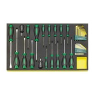 Modul - TCS 4622/4650+10760+10766, Stahlwille