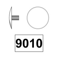 Capacele din plastic ø12 mm cu picior cilindric, plastic, colorat, Rocast