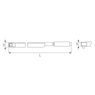Chei dinamometrice cu clichet cu cap fix - 720 Nf, Stahlwille