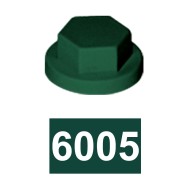 Capacele din plastic vopsite pentru suruburi cu cap hex 8 mm si 10 mm, Rocast