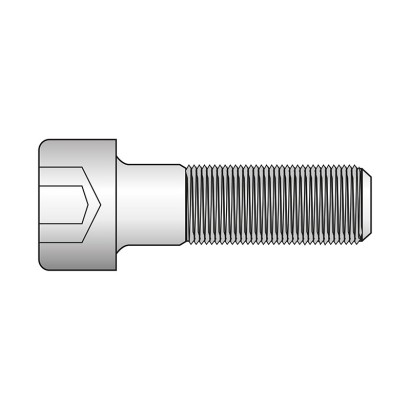 Surub, M5 x 150, cu cap...