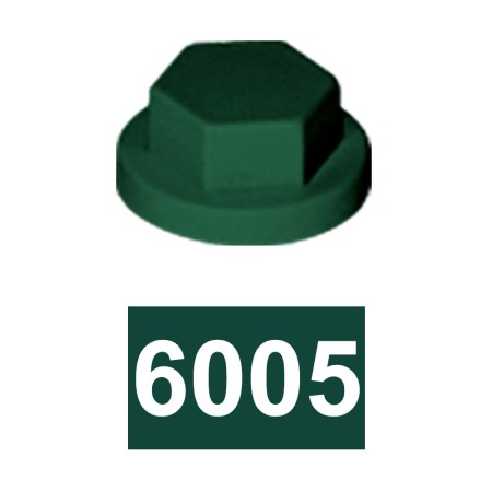 Capac 10 mm, pentru suruburi cu cap HEX, plastic, RAL 6005 verde muschi, 200 buc./cutie