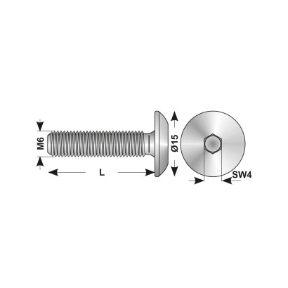 Surub M6 x 20 mm, cap...