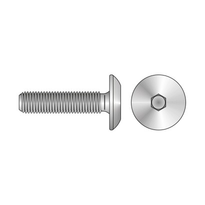 Surub M6 x 40 mm, cap...