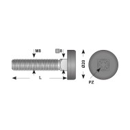 Surub de reglare M8 x 40 mm, gat patrat 8 mm, locas cruciform capac din plastic, otel zincat, 50 buc./cutie