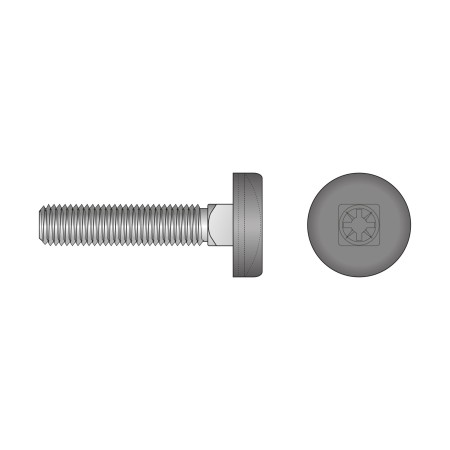 Surub de reglare M8 x 70 mm, gat patrat 8 mm, locas cruciform capac din plastic, otel zincat, 50 buc./cutie