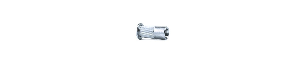 Piulite-nit Inox