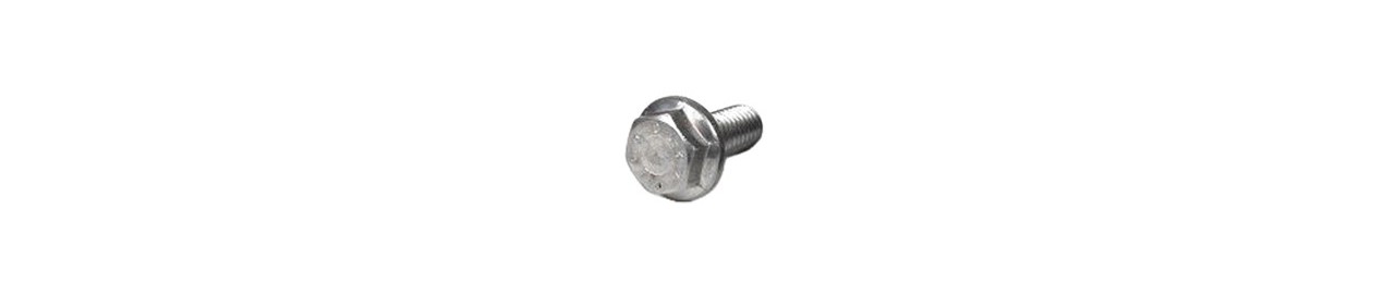 Suruburi cu cap hexagonal si flansa DIN 6921