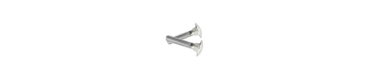 Surub torbant cu/fara piulita DIN 603 Rocast