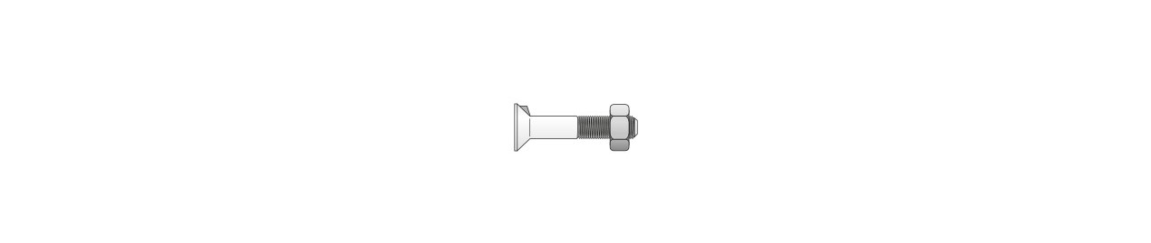 Surub torbant cu nas si piulita DIN 604