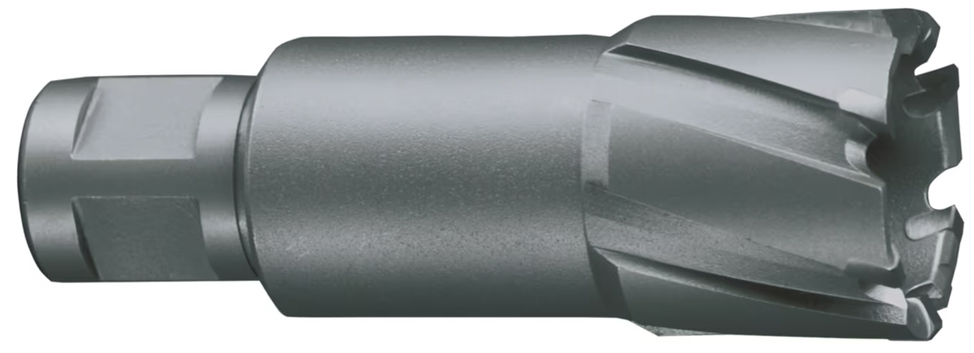 Brg02